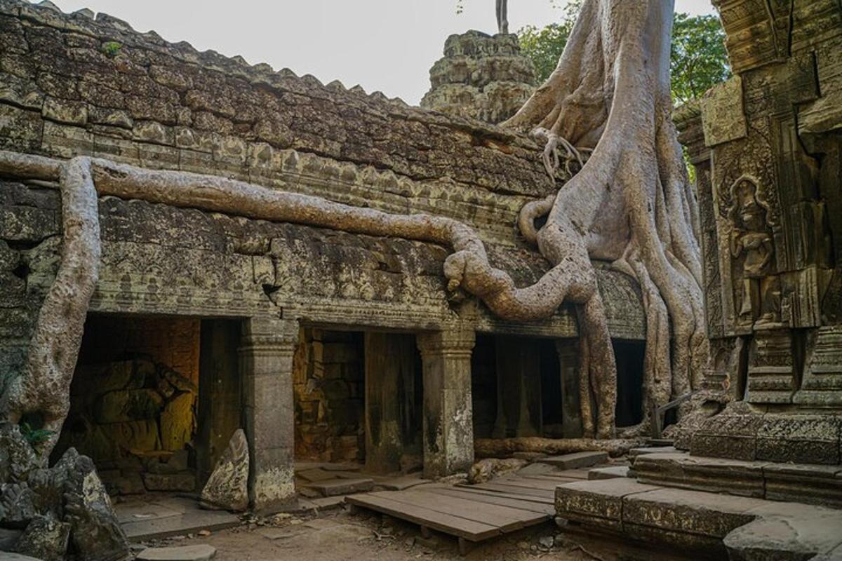 ภาพถ่ายสิ่งที่น่าสนใจภาพที่ 7