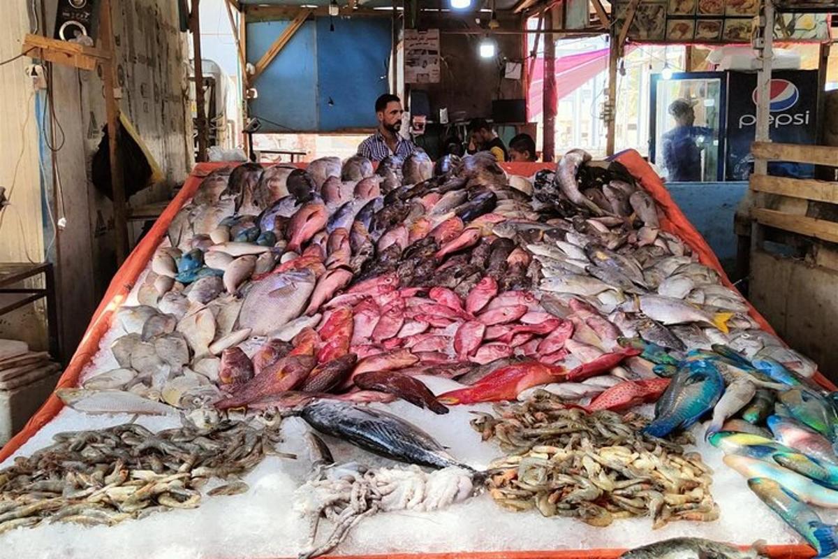 市場に並べられた多種多様な魚