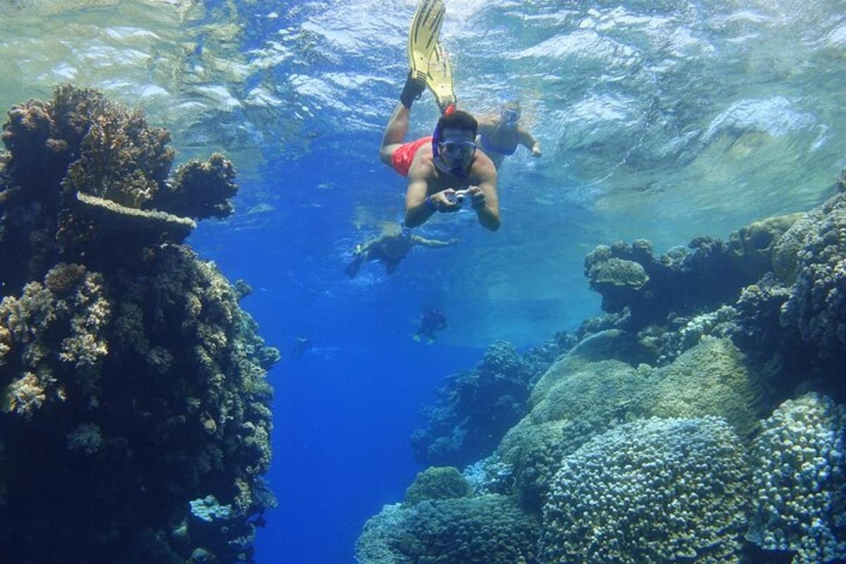 a man swimming in the water near a coral reef