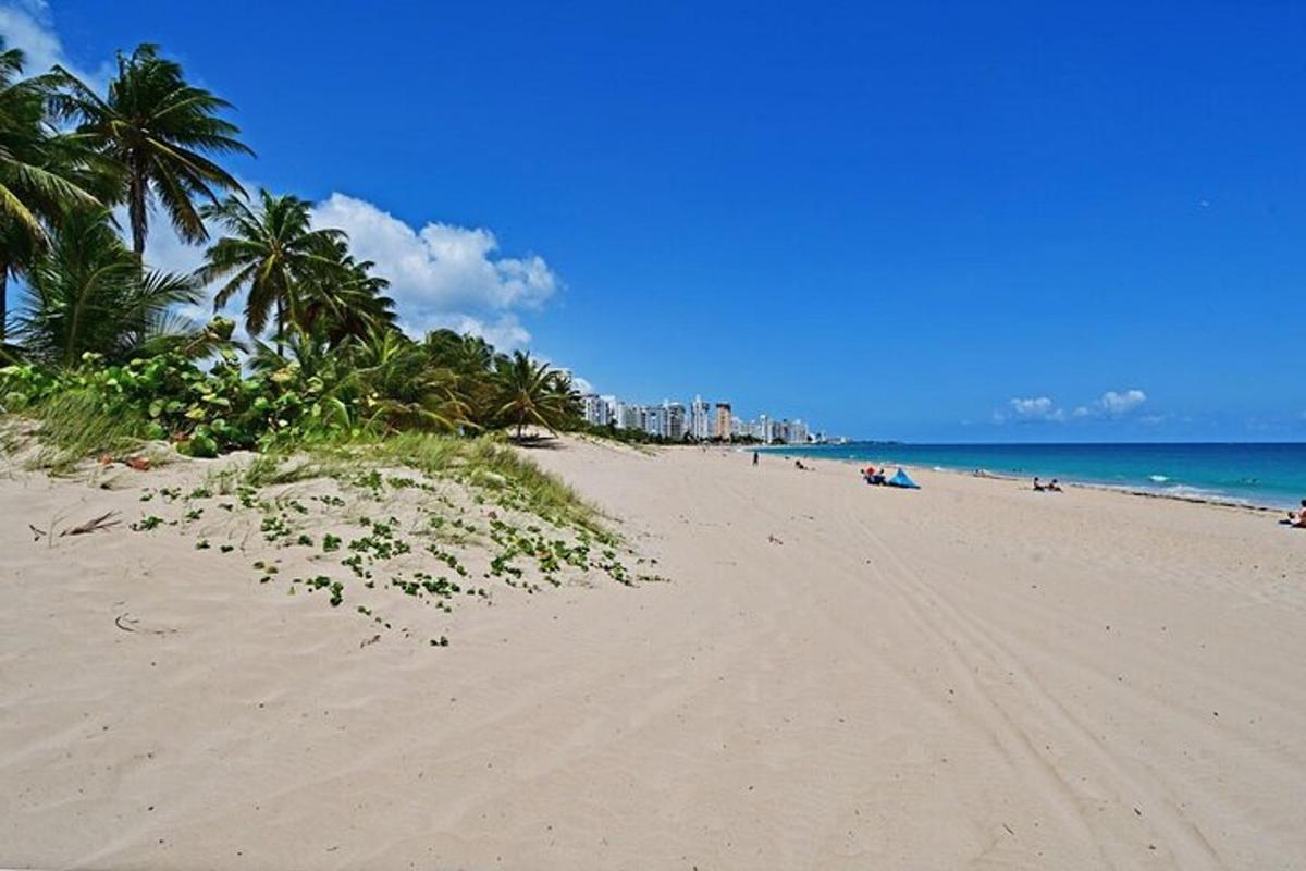 a sandy beach with palm trees and the ocean