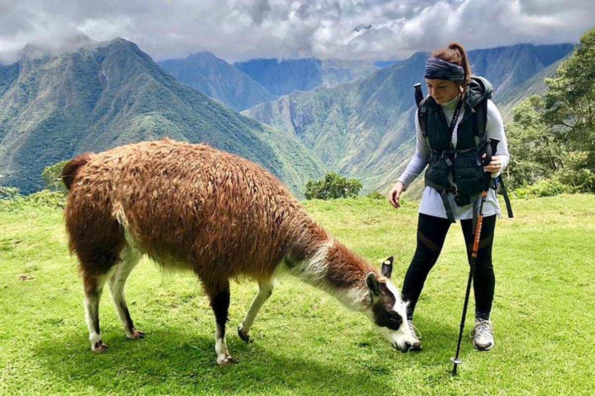 uma mulher parada ao lado de uma lhama em um campo