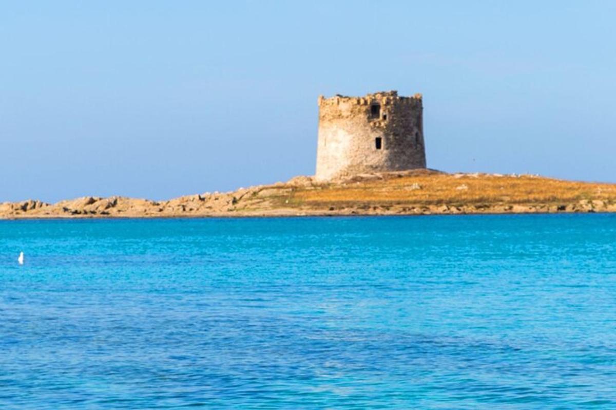 a castle on an island in the middle of the water