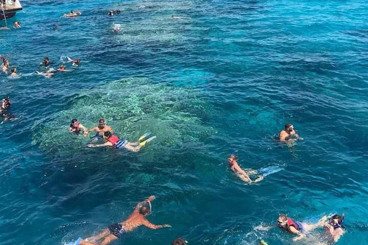 مجموعة من الناس يسبحون في الماء