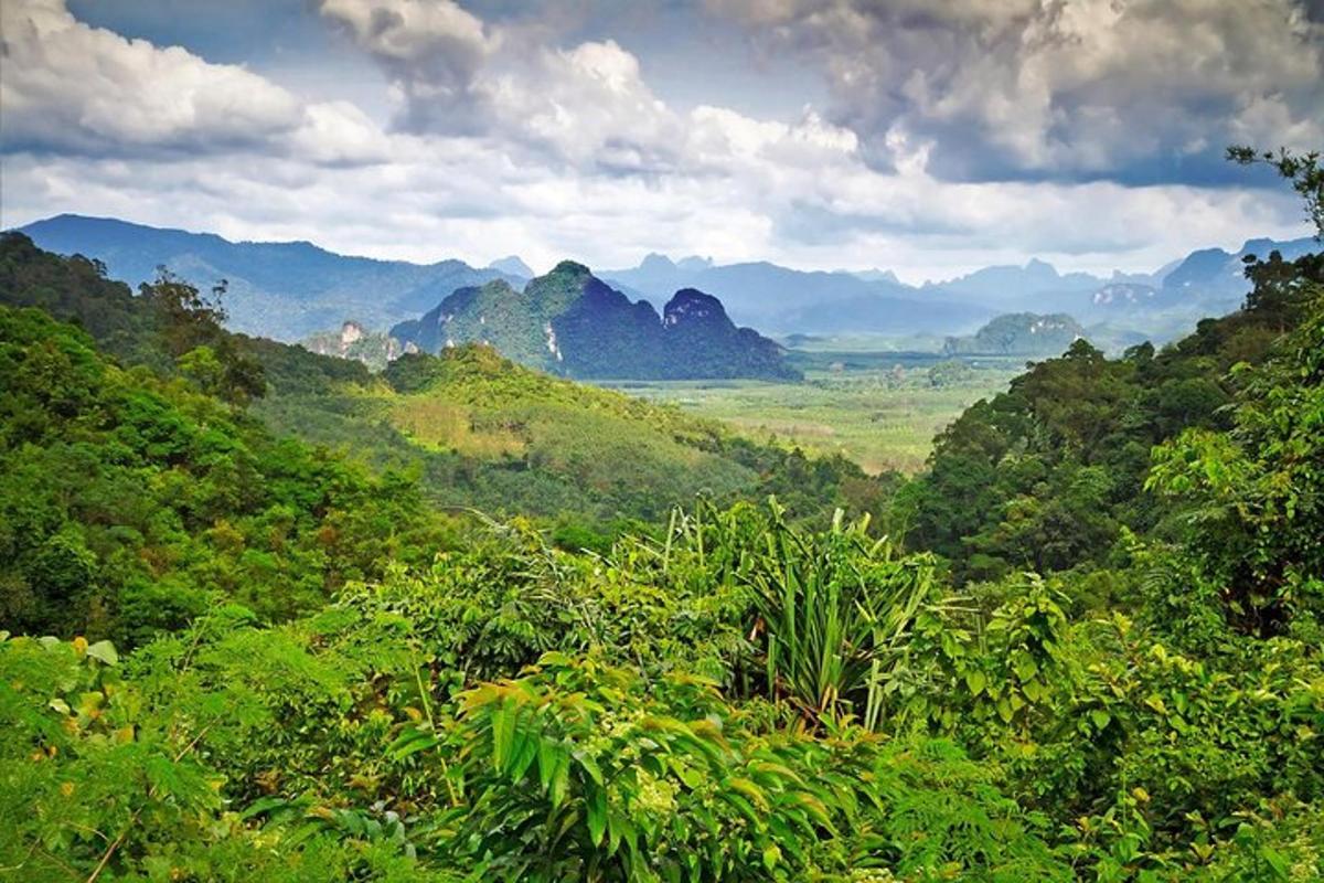 a view of a valley with mountains in the background
