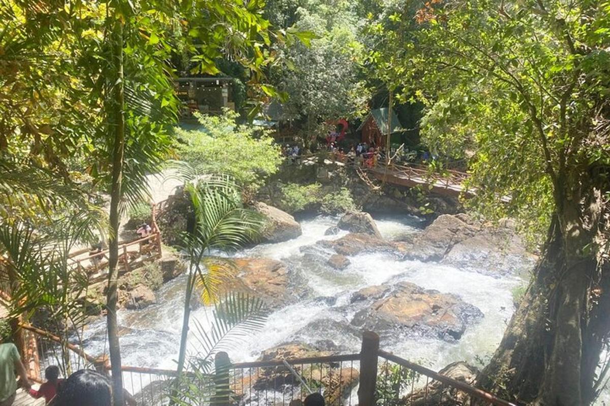 una vista di un fiume con rapide in un parco