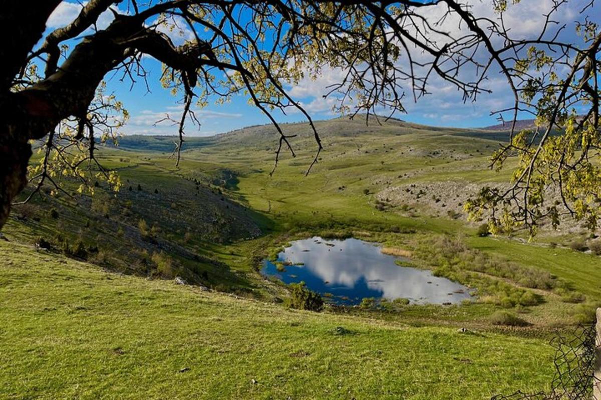 Una vista de una colina con un estanque en un campo.