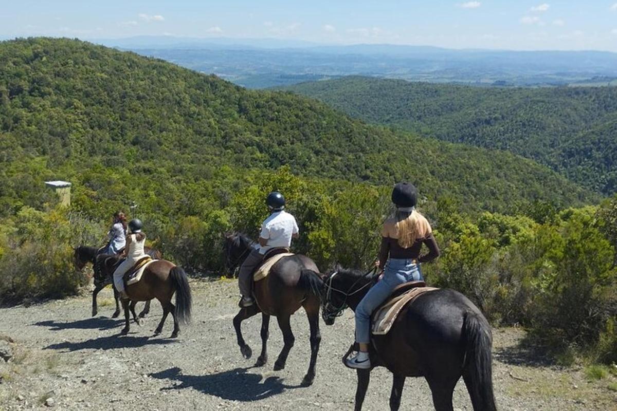 un grup de persones muntant a cavall en un turó