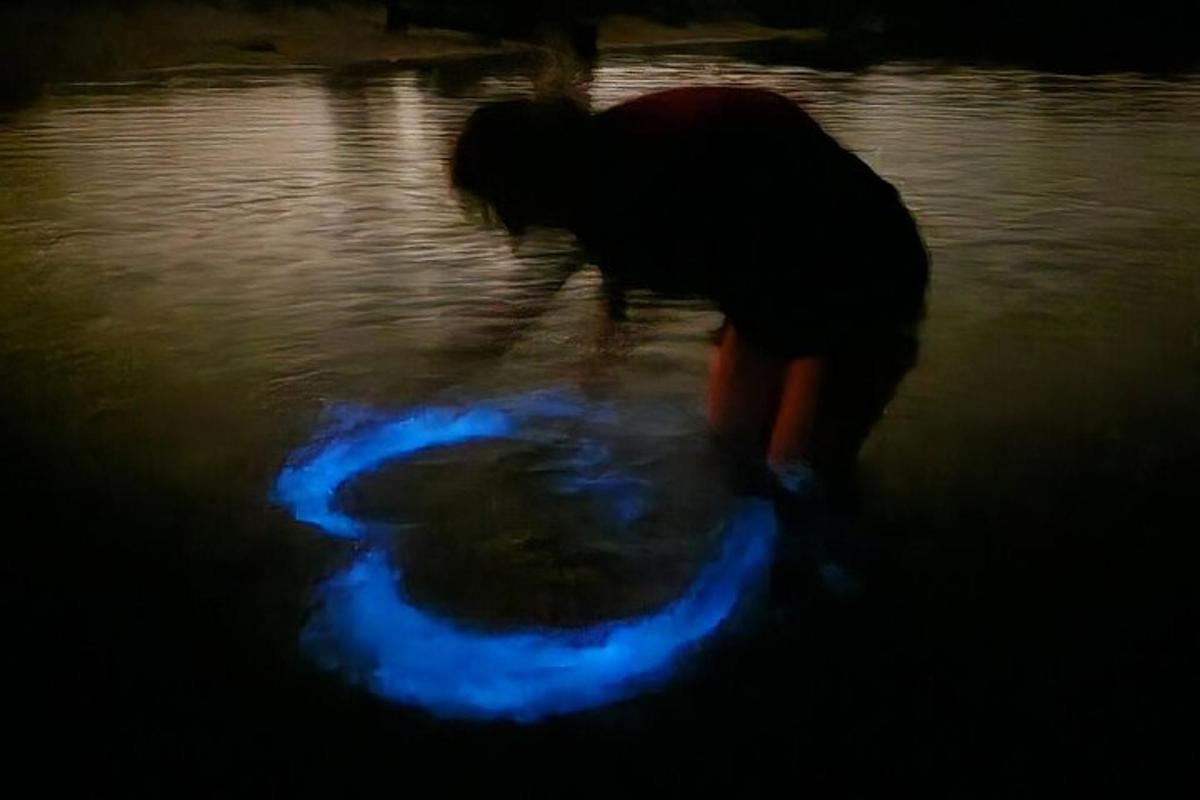 una persona che gioca con un frisbee in acqua