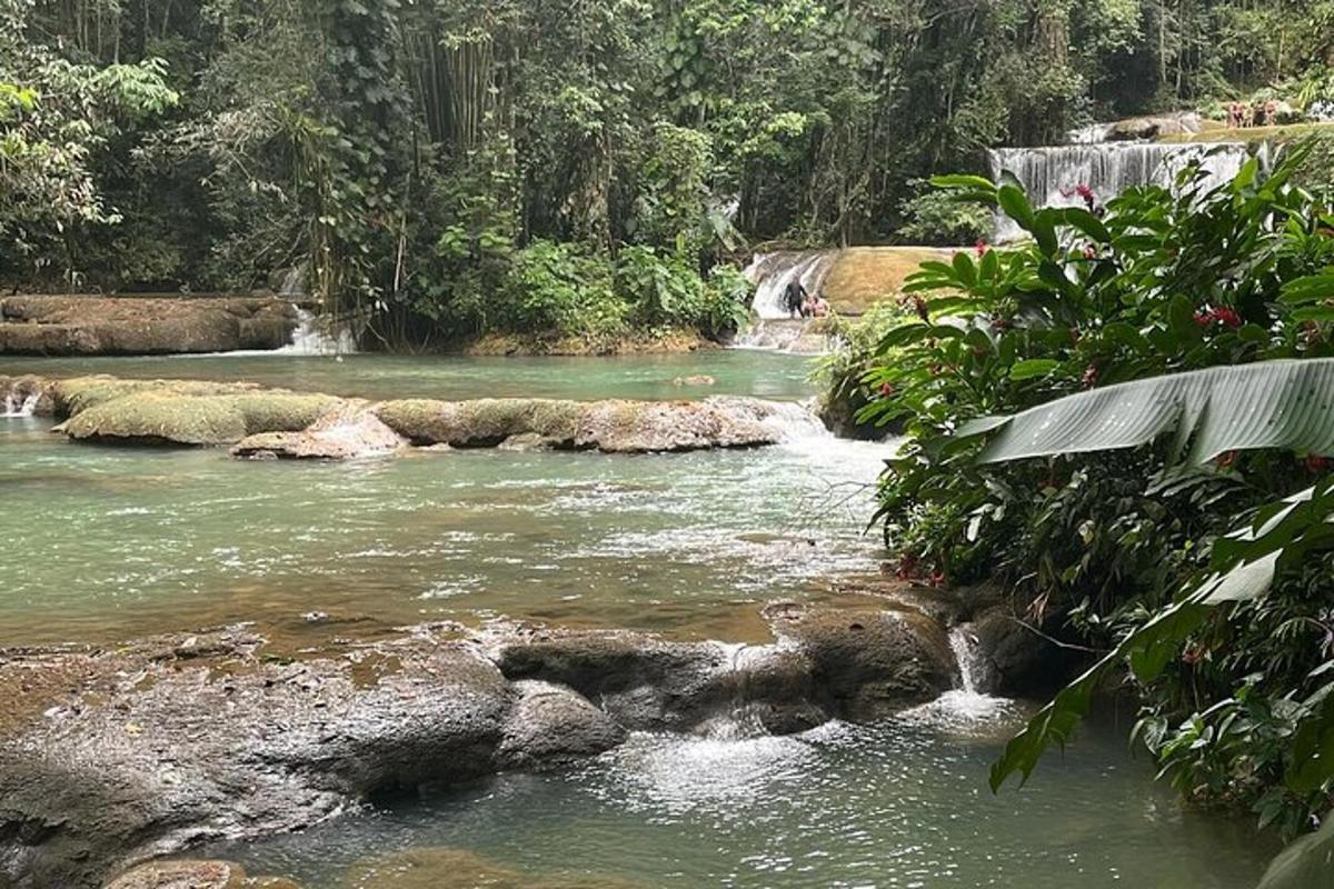 sungai dengan air terjun di dalam hutan
