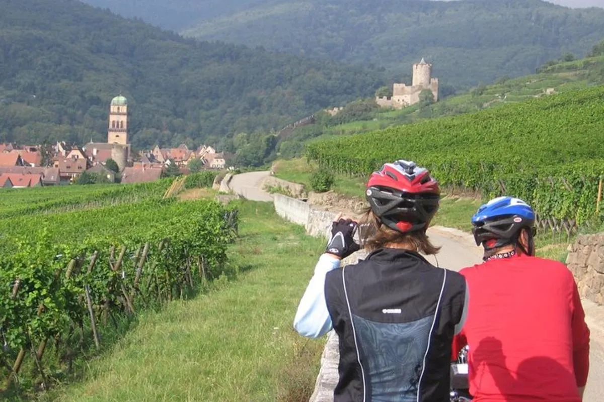 Visite privée à vélo des vignobles d'Alsace et des villages viticoles – photo 2