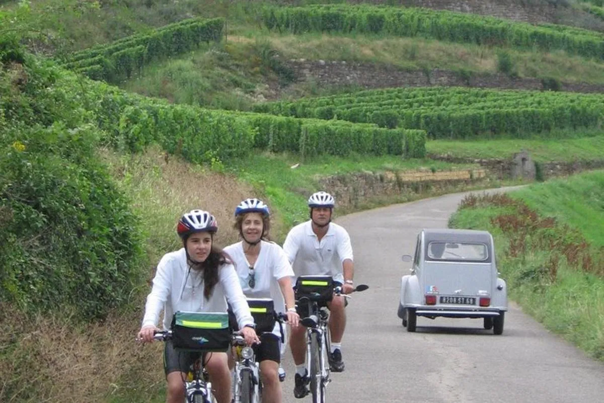 Visite privée à vélo des vignobles d'Alsace et des villages viticoles – photo 3