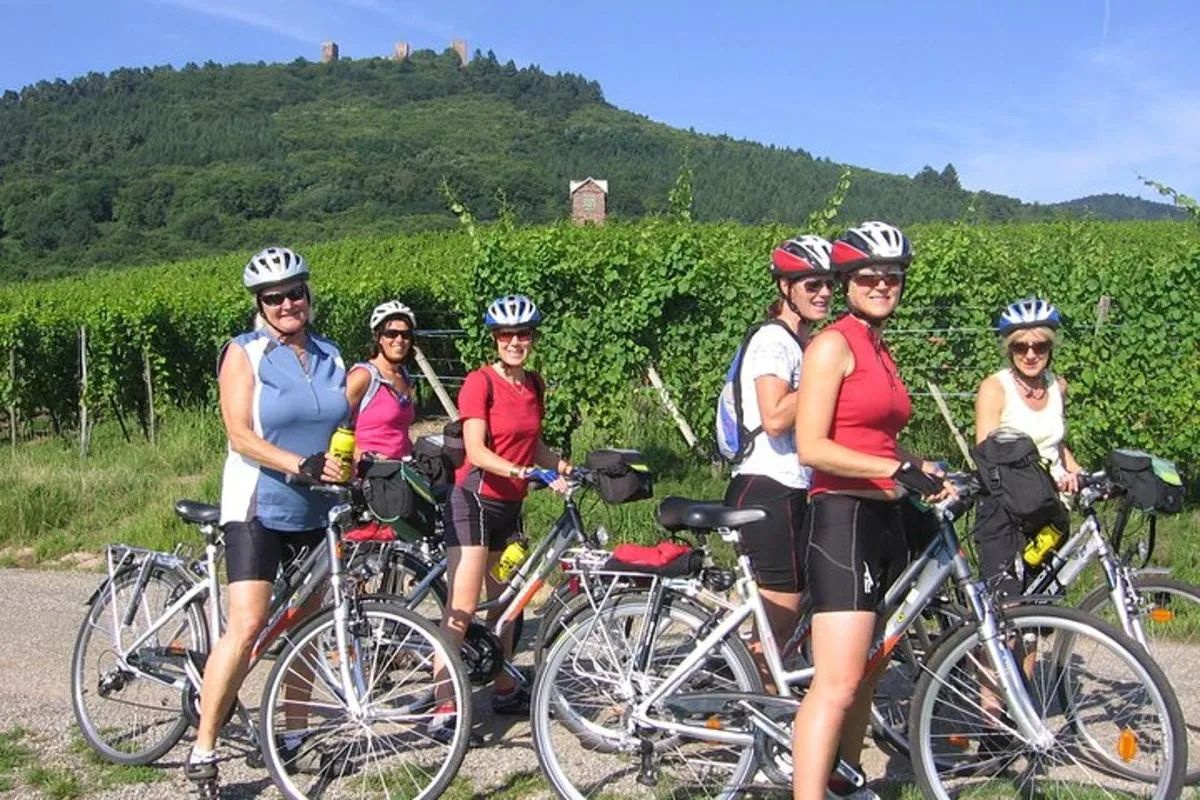 Durch elsässische Weinberge und Weindörfer Private Radtour – Foto 4