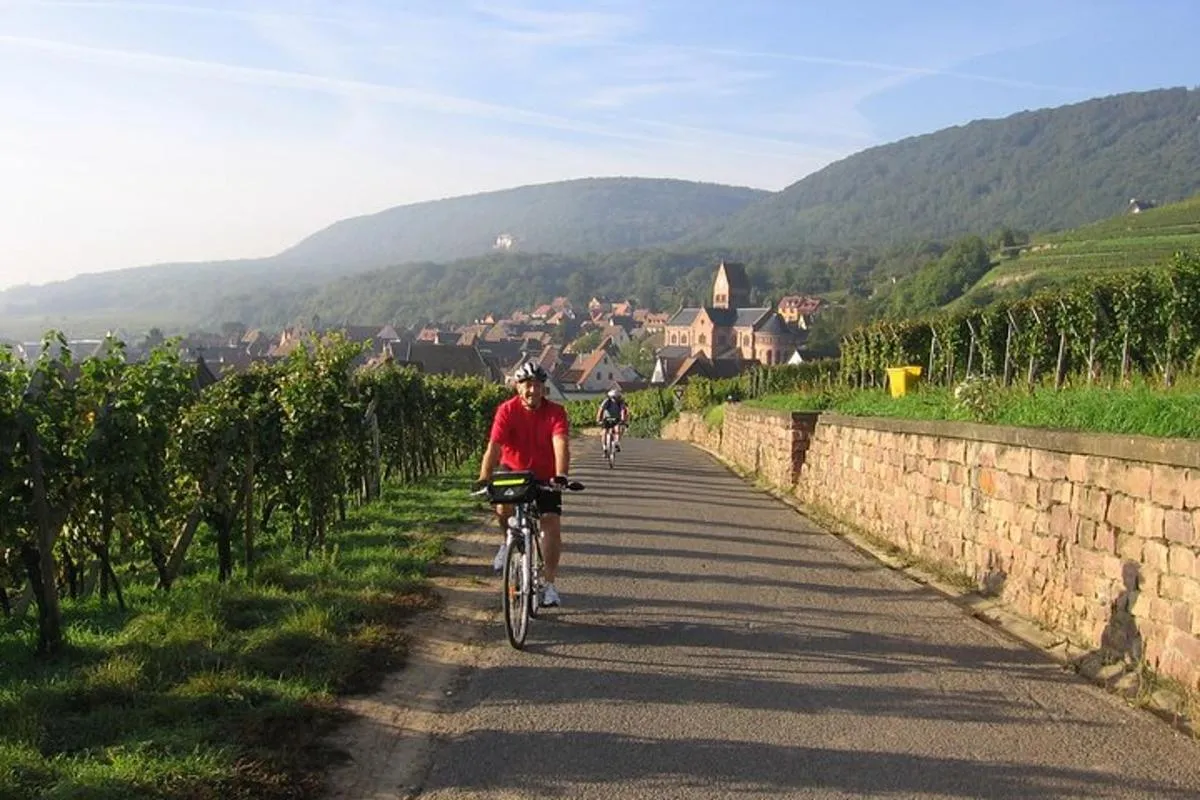 Durch elsässische Weinberge und Weindörfer Private Radtour – Foto 7