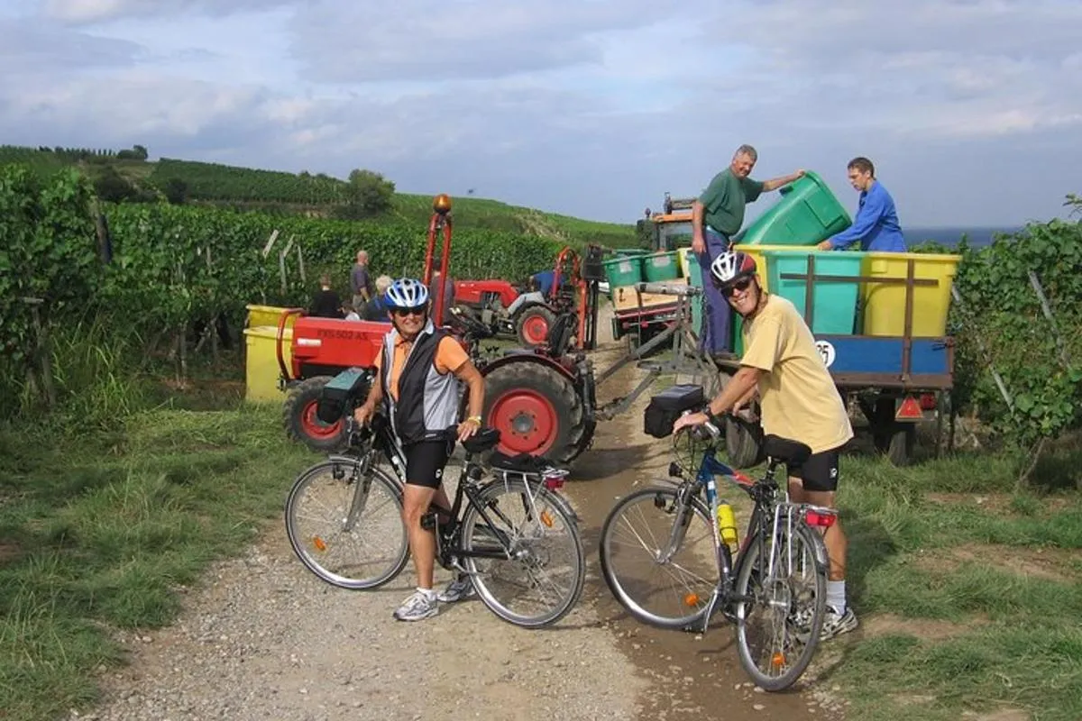 Durch elsässische Weinberge und Weindörfer Private Radtour – Foto 8
