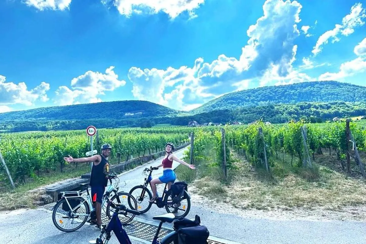 Durch elsässische Weinberge und Weindörfer Private Radtour – Foto 9