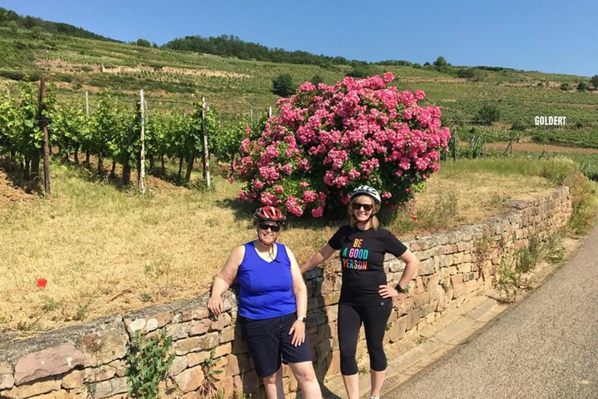 Durch elsässische Weinberge und Weindörfer Private Radtour – Foto 10