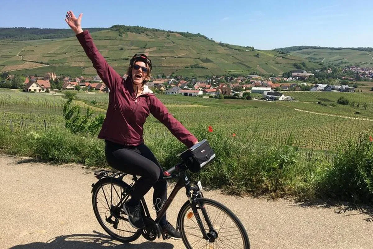 Durch elsässische Weinberge und Weindörfer Private Radtour – Foto 11