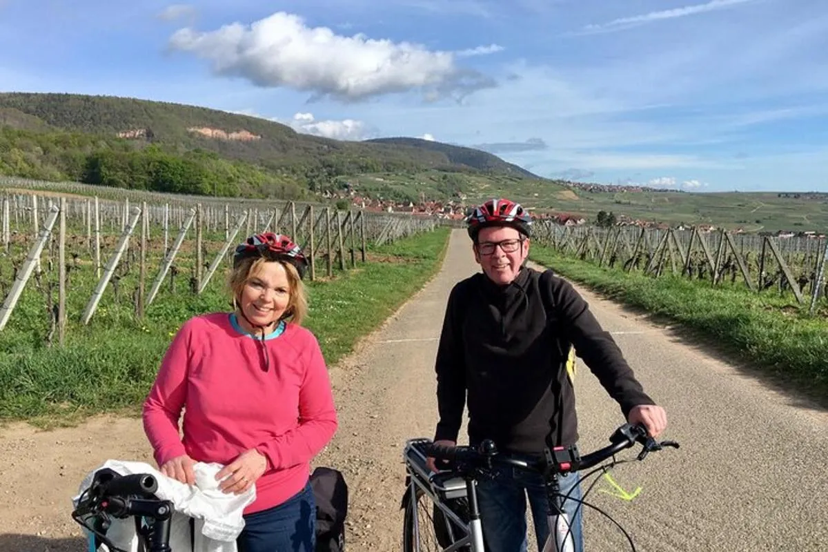 Durch elsässische Weinberge und Weindörfer Private Radtour – Foto 12