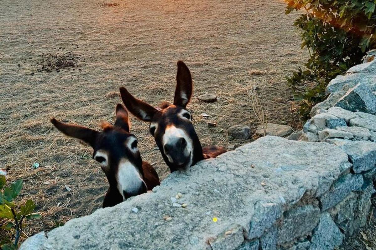 Lankytinos vietos ar pramogos nuotrauka numeris 5