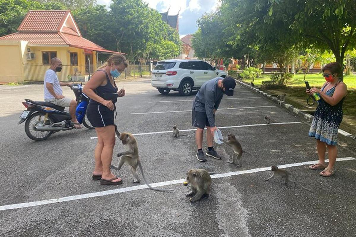 un gruppo di persone in piedi in un parcheggio con delle scimmie