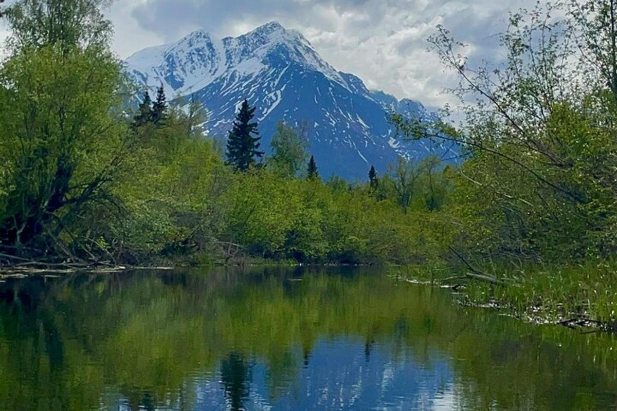 o vedere a unui lac cu un munte în fundal