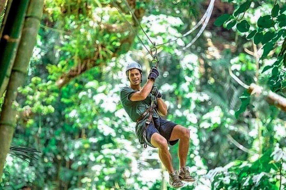 un uomo sta lanciandosi con la teleferica tra gli alberi