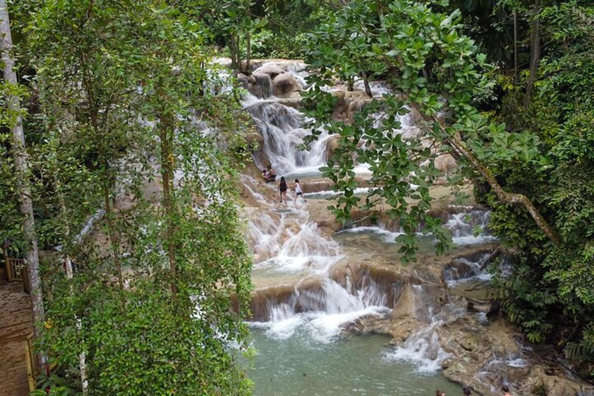 una cascata in mezzo a una foresta