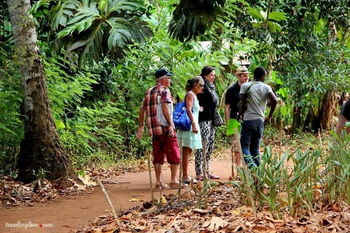 a group of people standing on a trail in the woods