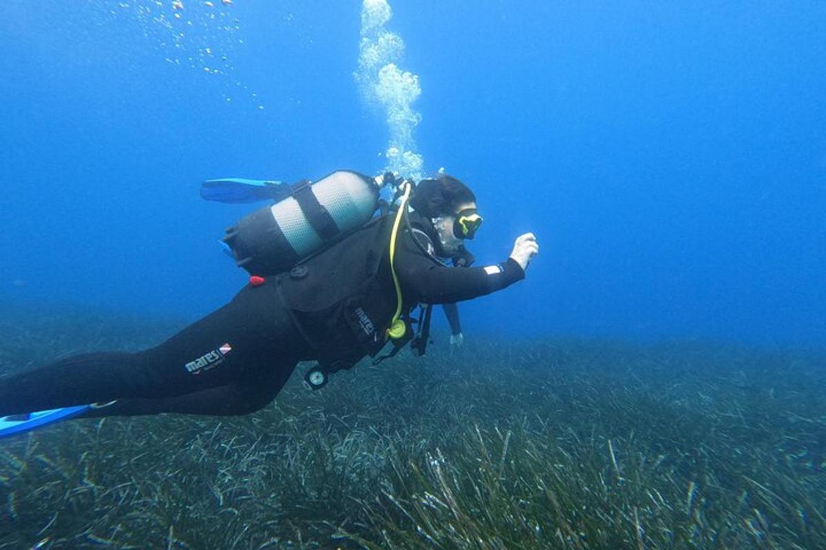osoba v neoprenovém obleku plave v oceánu