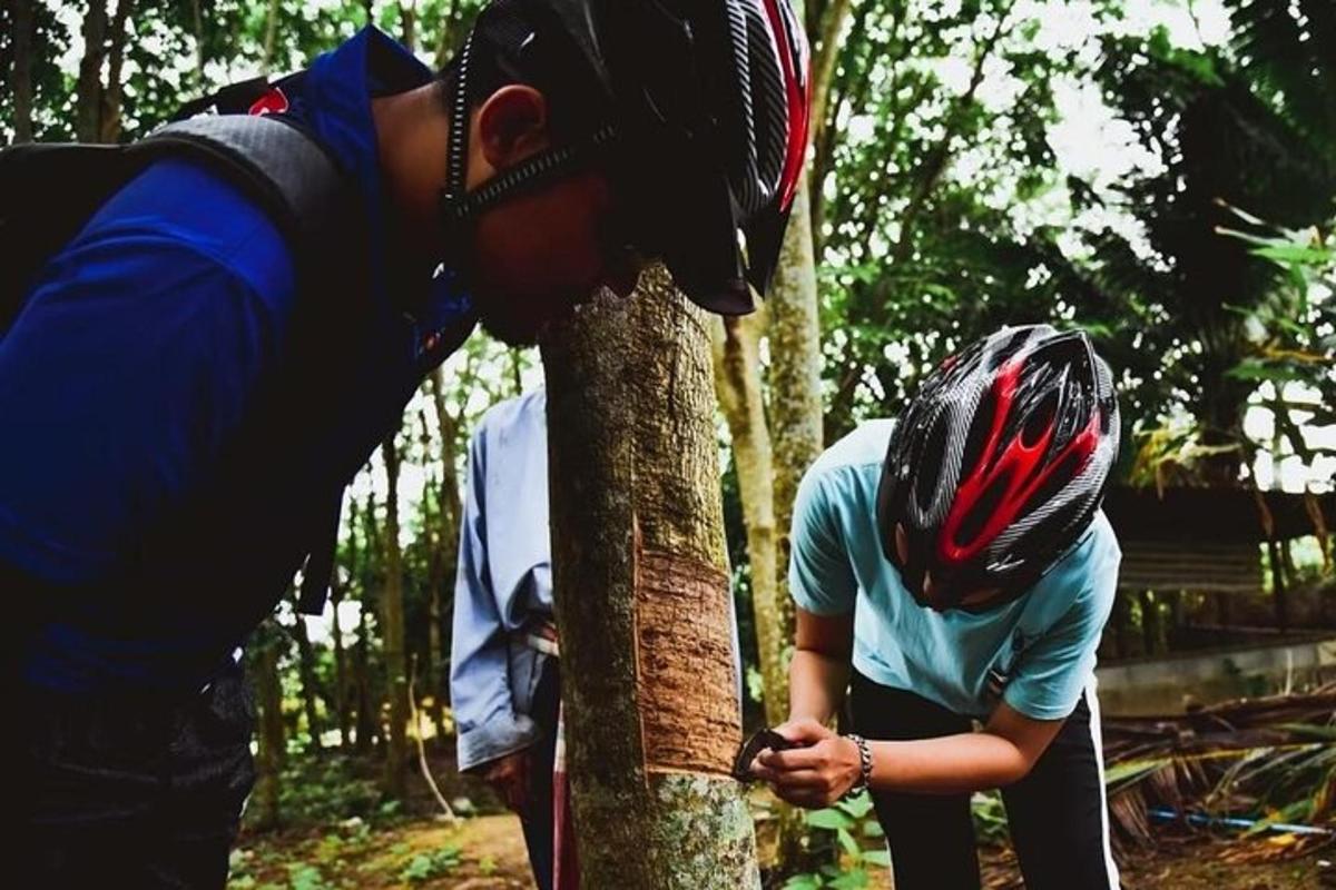 una persona amb casc recolzada a un arbre