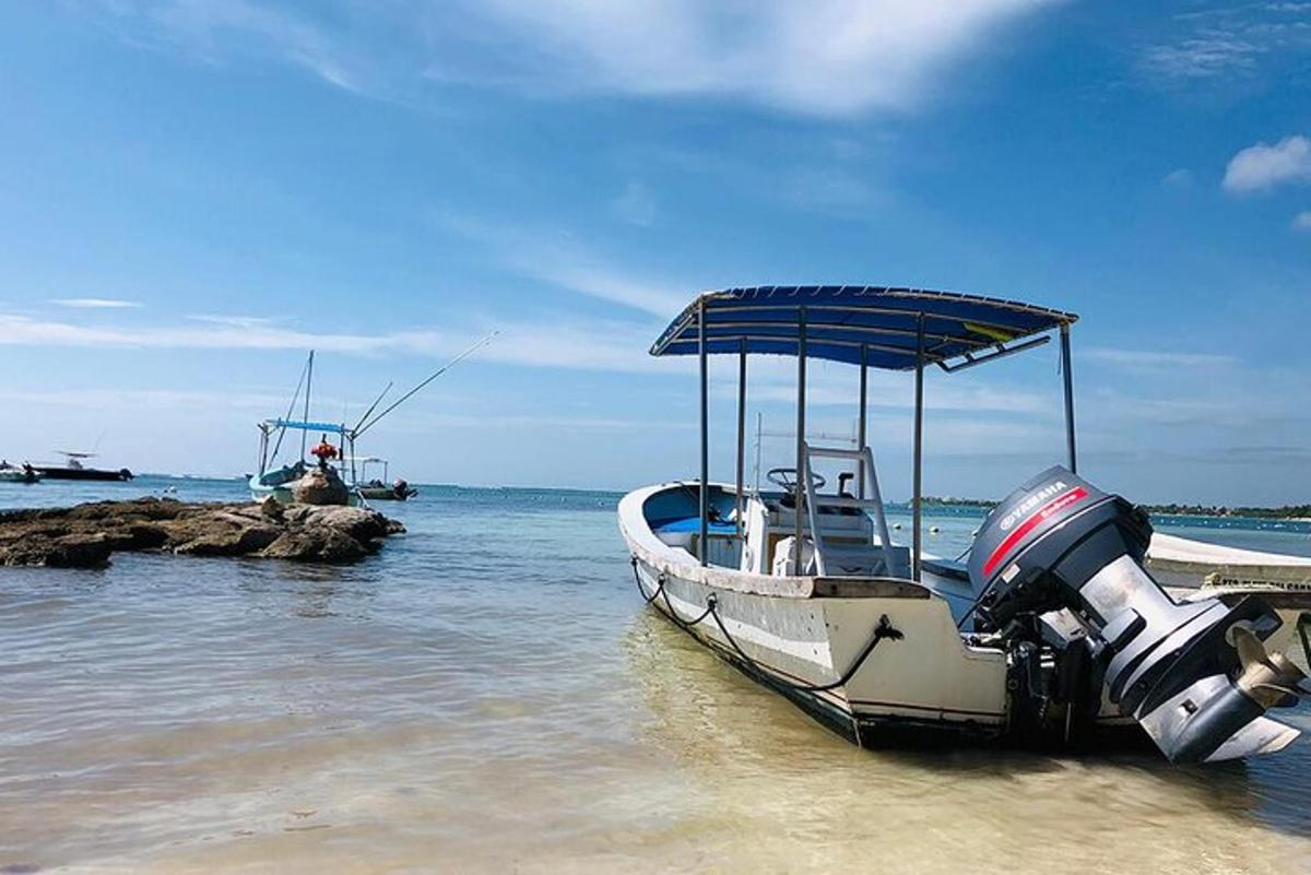 bot duduk di atas air di pantai