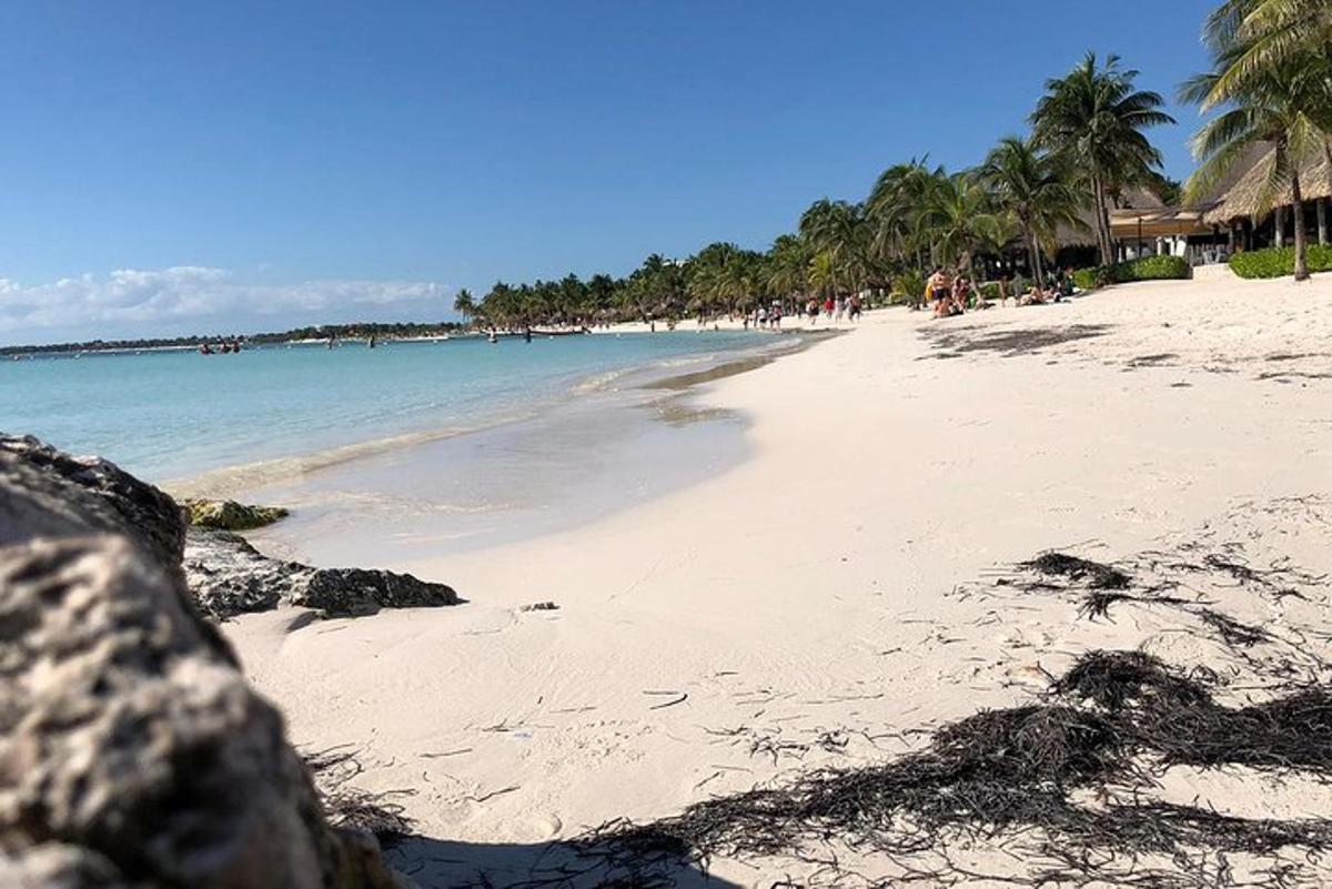 pludmale ar palmām un cilvēkiem uz ūdens