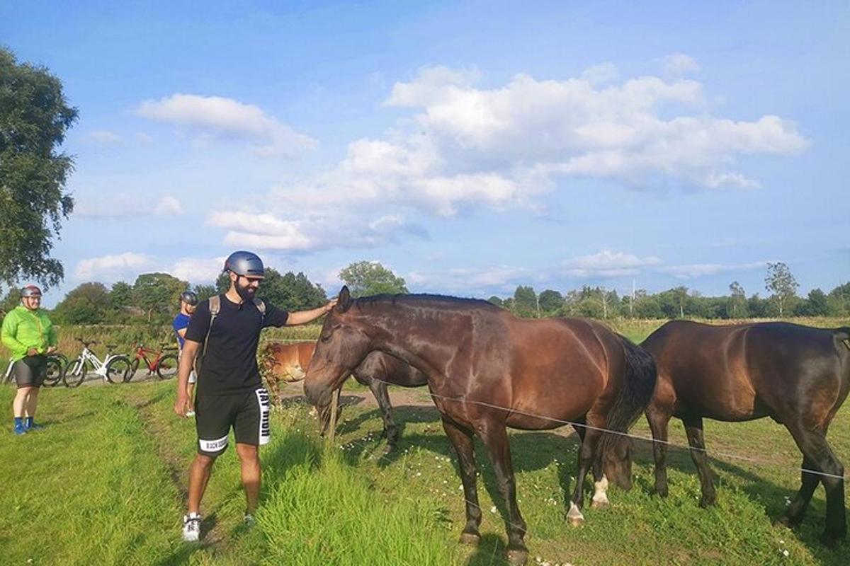 en mann som står ved siden av tre hester på et jorde