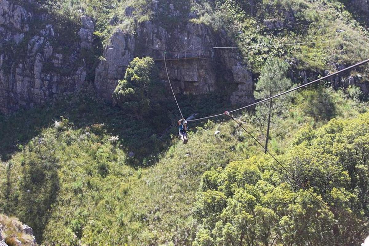 a person on a zip line in the jungle
