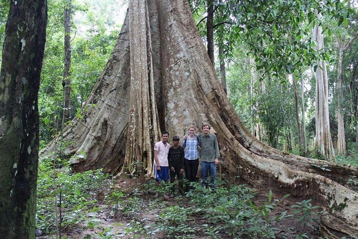 un gruppo di persone in piedi davanti a un albero