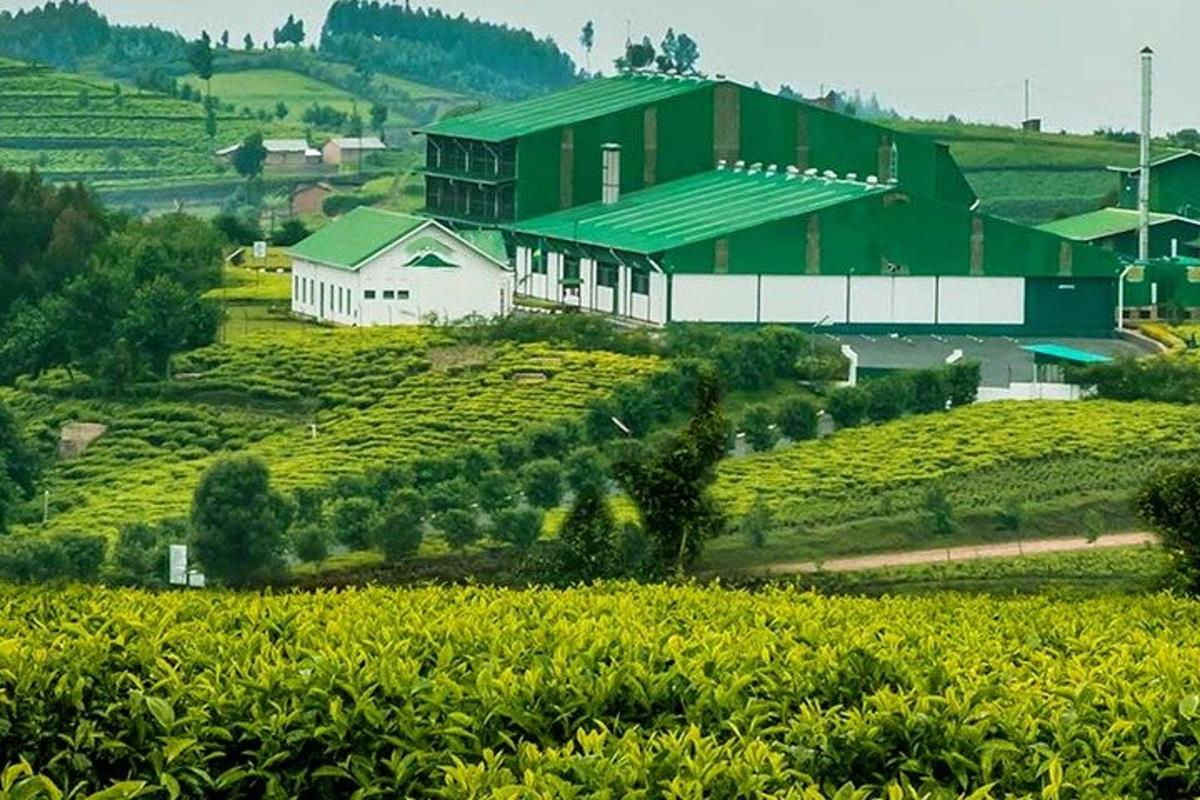 a barn on a hill next to a field of crops