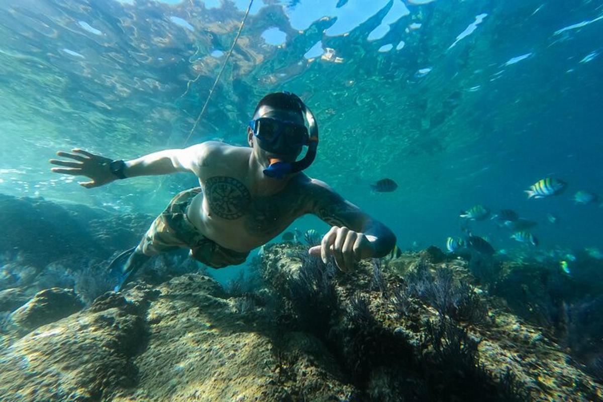 mees aivedivedivedivedivedivedivedivedivedivedivedivedivedivedivedivedivedivedivedi