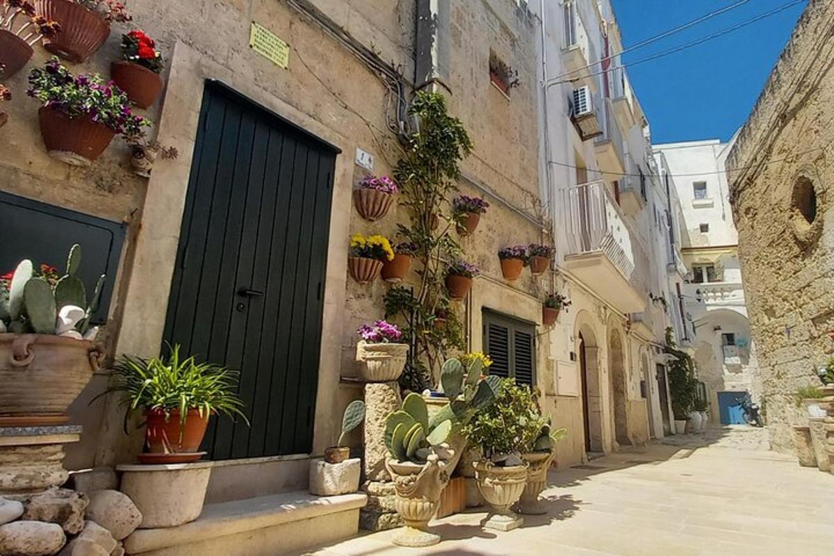 Un callejón con plantas en macetas al costado de un edificio.