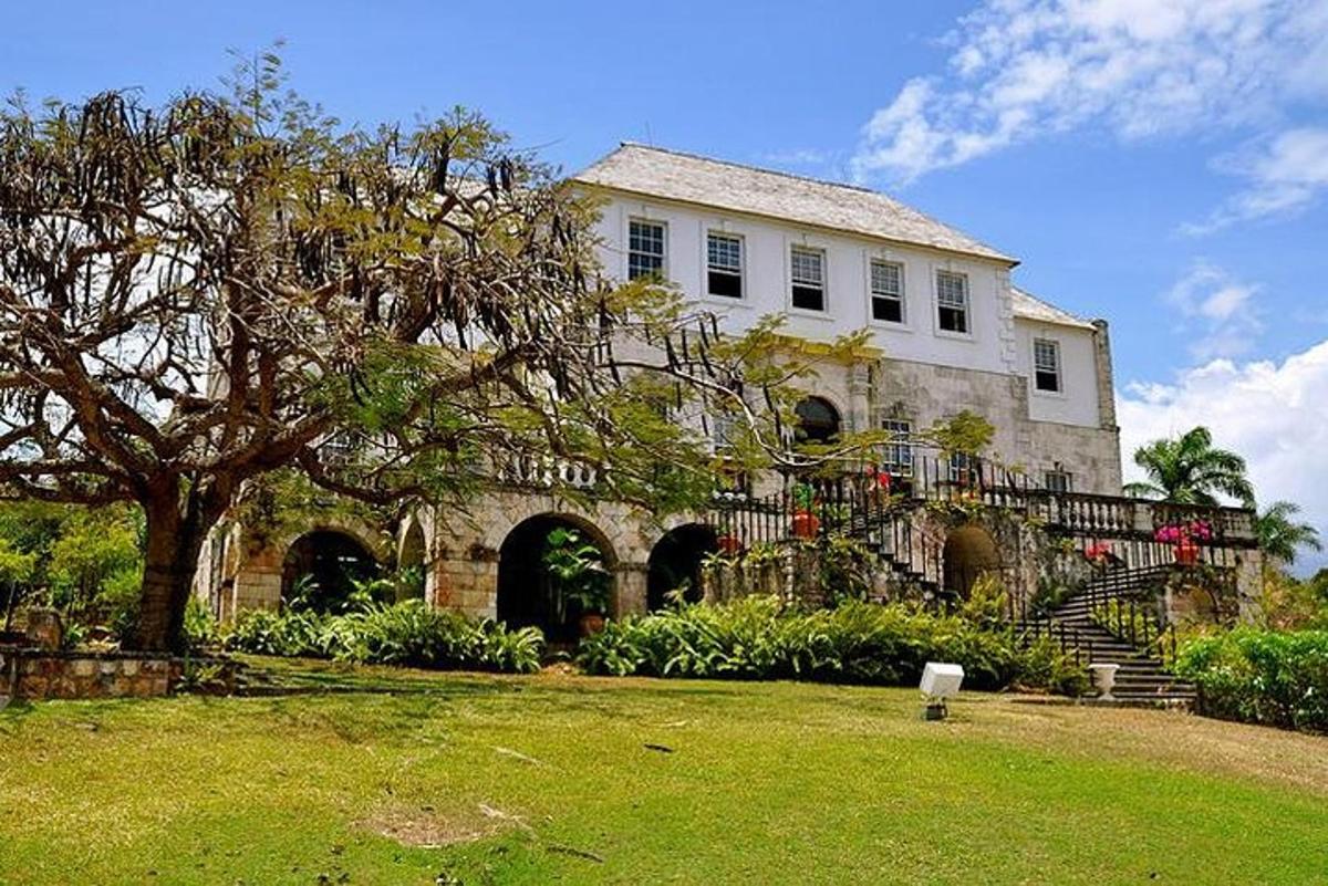 a large white house with a tree in the yard