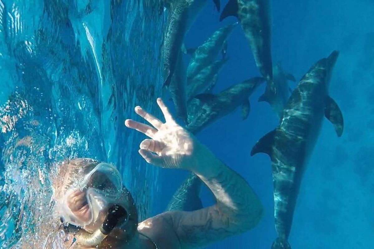 a woman swimming in the water with a group of fish