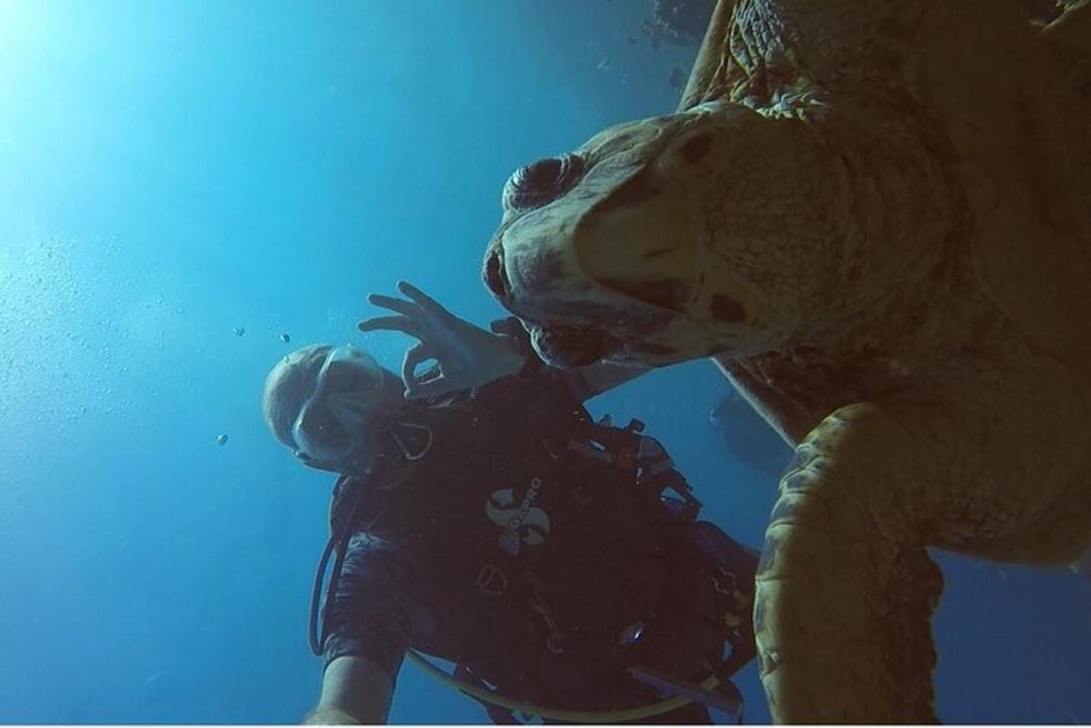 Una persona nadando en el agua con una estatua de una tortuga.