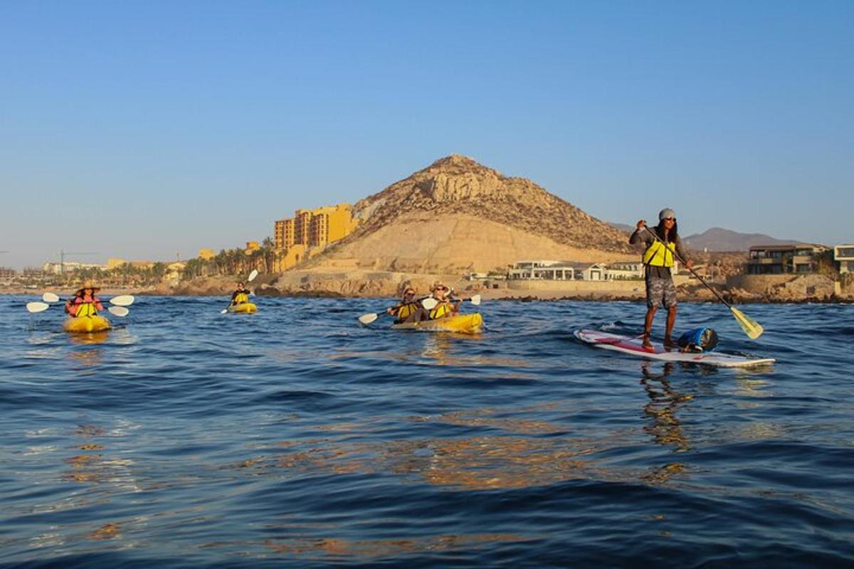 a group of people on kayaks in the water