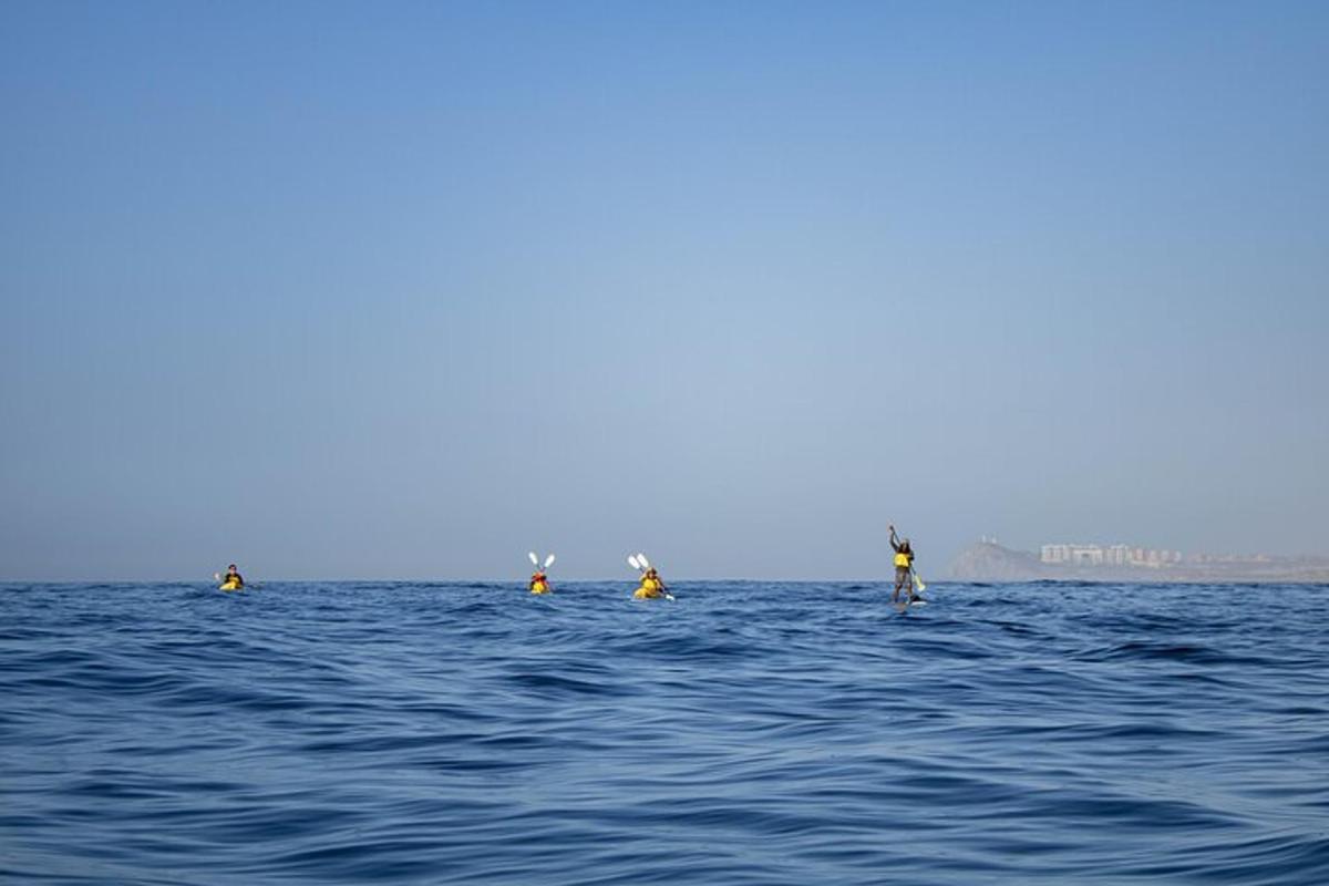a group of people on paddle boards in the water