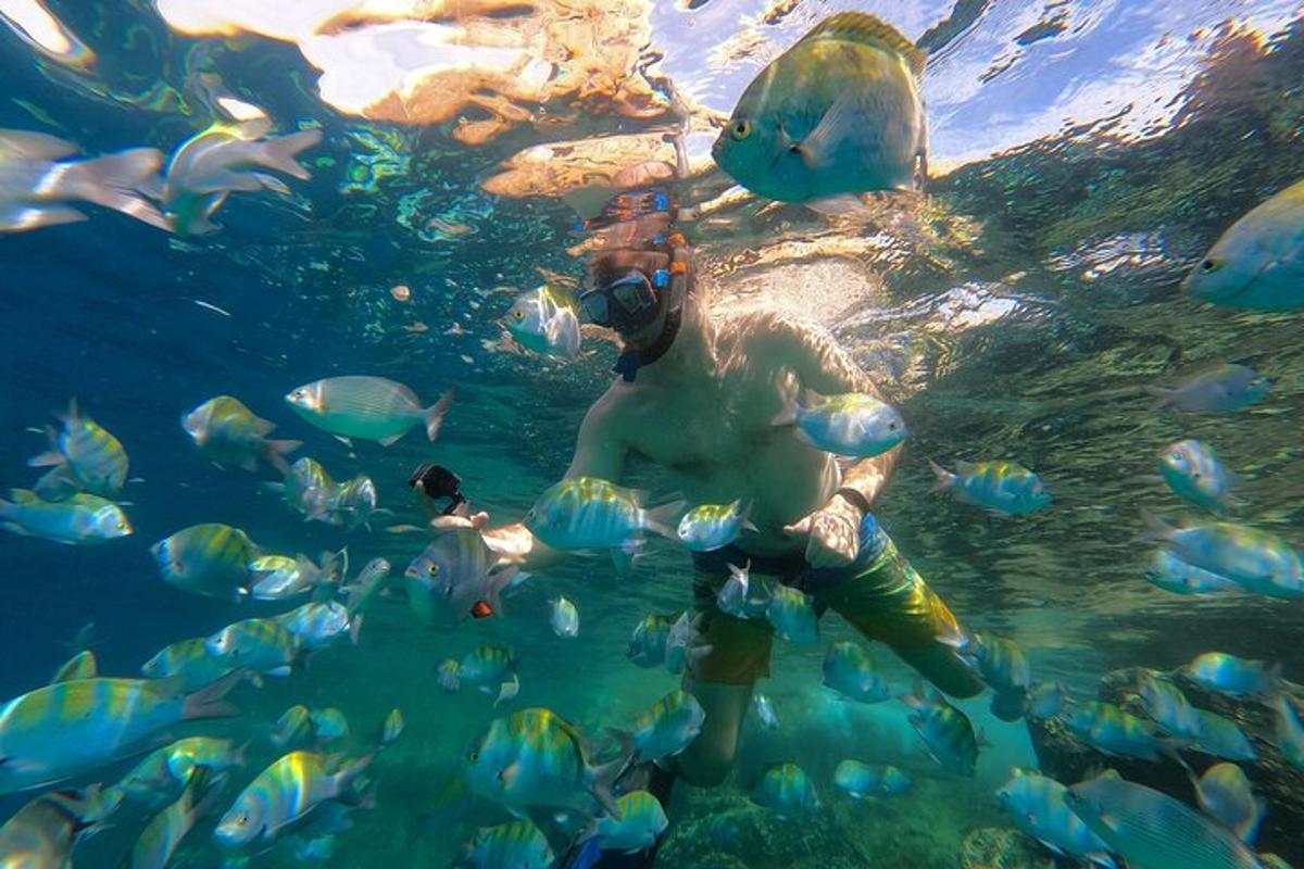 un home a l'aigua amb un grup de peixos