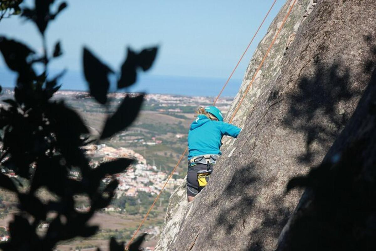 um homem está escalando uma parede de rocha com morcegos