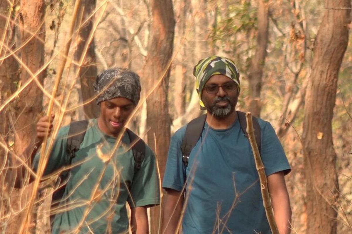 两名男子沿着树林里的小路行走