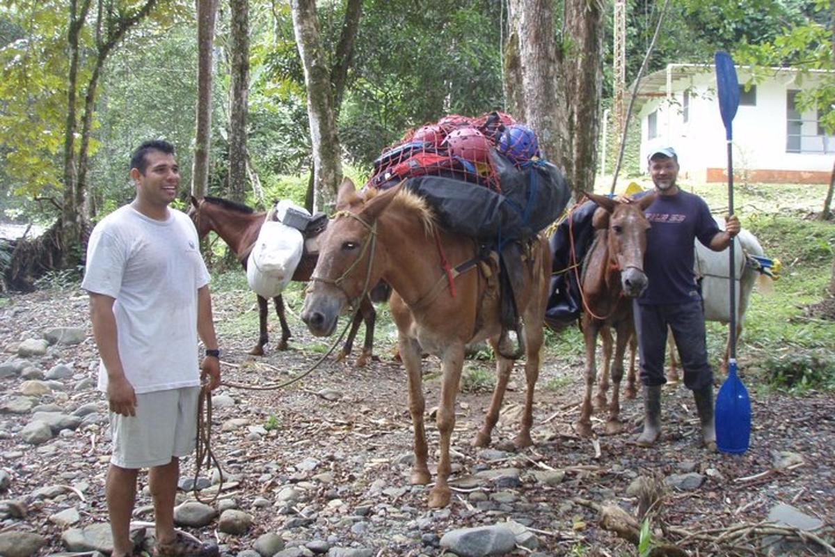 Un grupo de tres hombres de pie junto a los caballos.