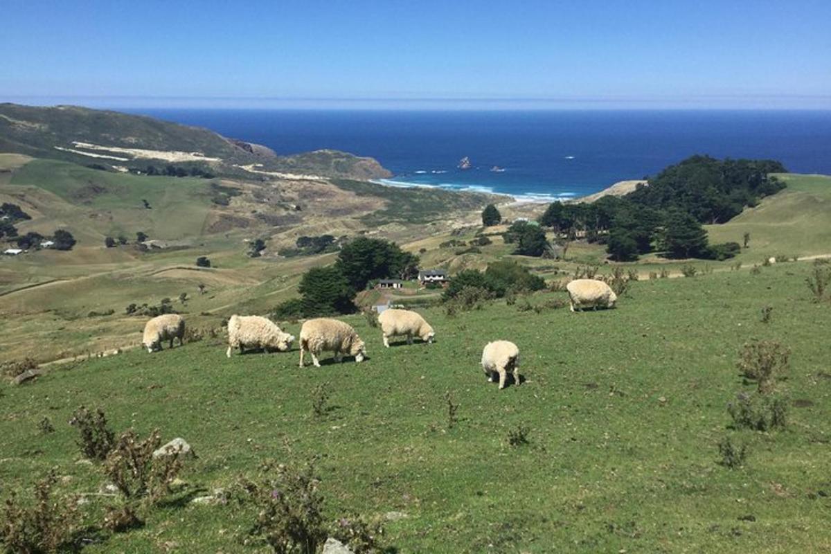 Lankytinos vietos ar pramogos nuotrauka numeris 6