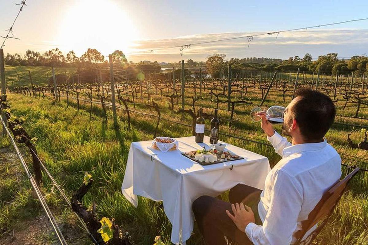 um homem bebendo vinho em uma mesa em um vinhedo
