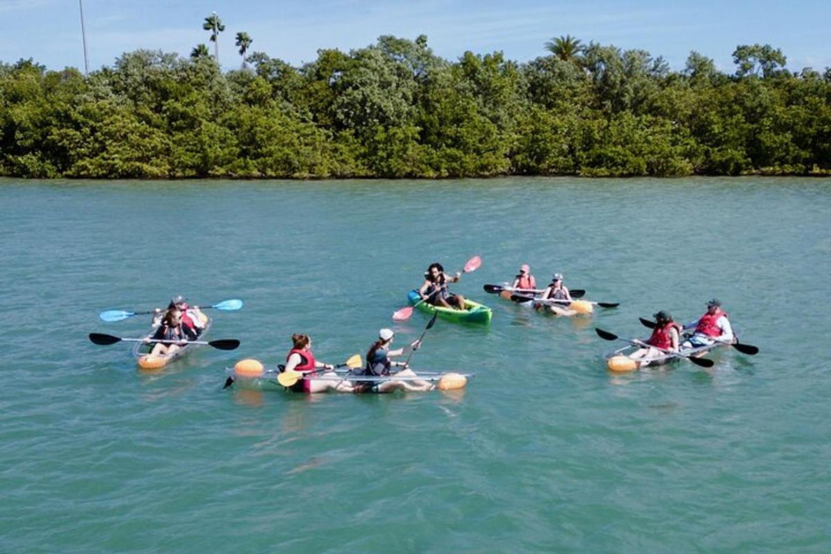 um grupo de pessoas andando de caiaque em um lago